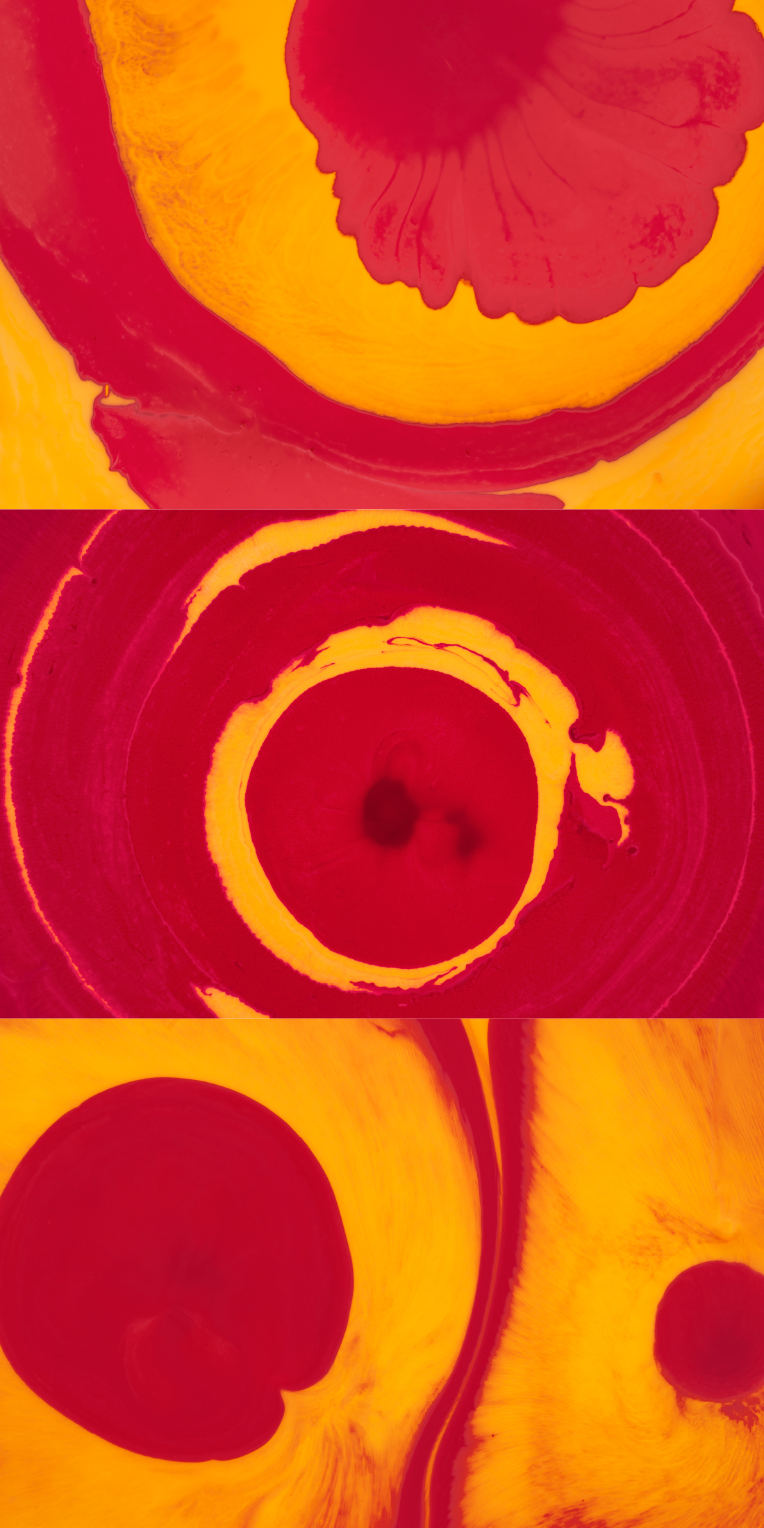 Detail aus Makroaufnahme von rot-gelben Flüssigkeiten