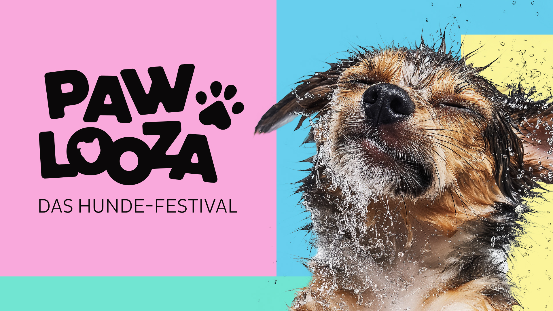 Logo „Pawlooza – Das Hunde-Festival“ auf buntem Hintergrund neben einem nassen Hund, der Wasser abschüttelt.