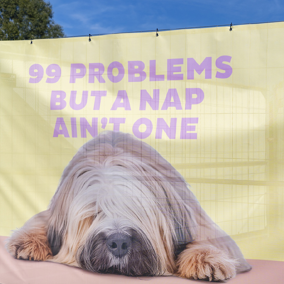 Bauzaunbanner mit schlafendem Hund und Headline "99 Problems but a nap ain't one"