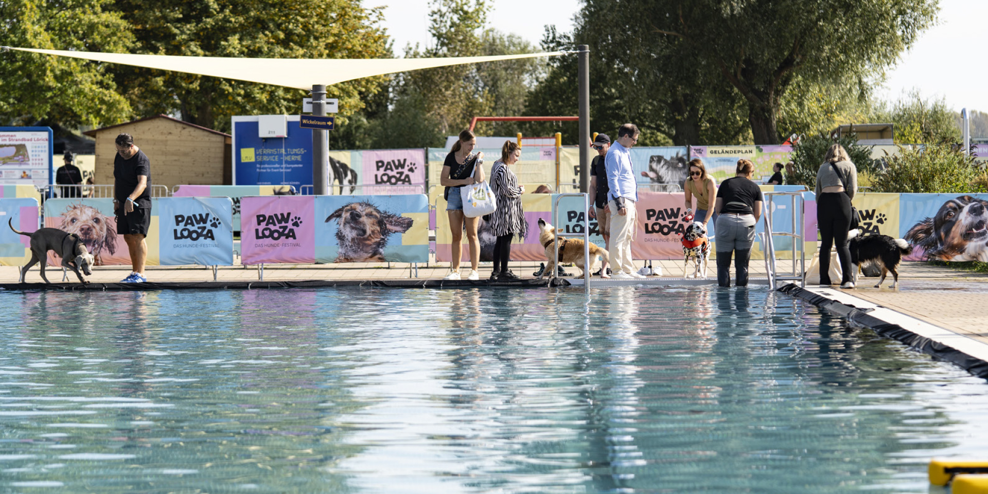 Menschen mit Hunden stehen am Rand des Schwimmbeckens beim Pawlooza-Hundefestival.
