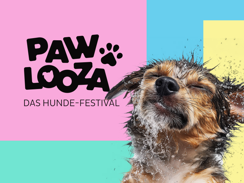 Logo „Pawlooza – Das Hunde-Festival“ auf buntem Hintergrund neben einem nassen Hund, der Wasser abschüttelt.