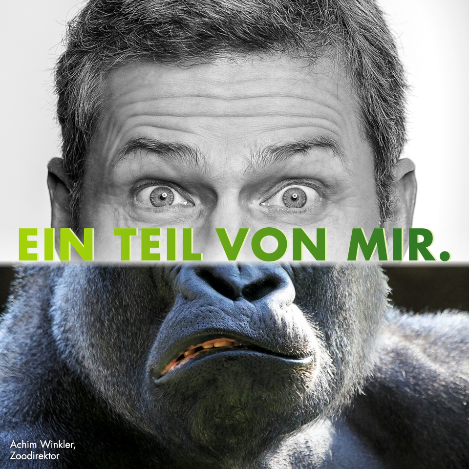 Zoo Duisburg Kampagnenmotiv ‚Ein Teil von mir‘ mit Zoodirektor Achim Winkler und Gorilla.