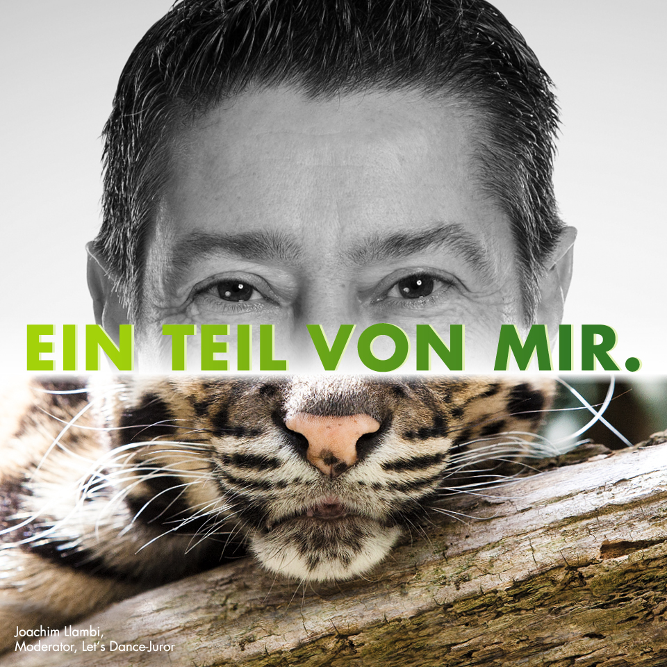 Zoo Duisburg Kampagnenmotiv ‚Ein Teil von mir‘ mit Moderator Joachim Llambi und Tiger.